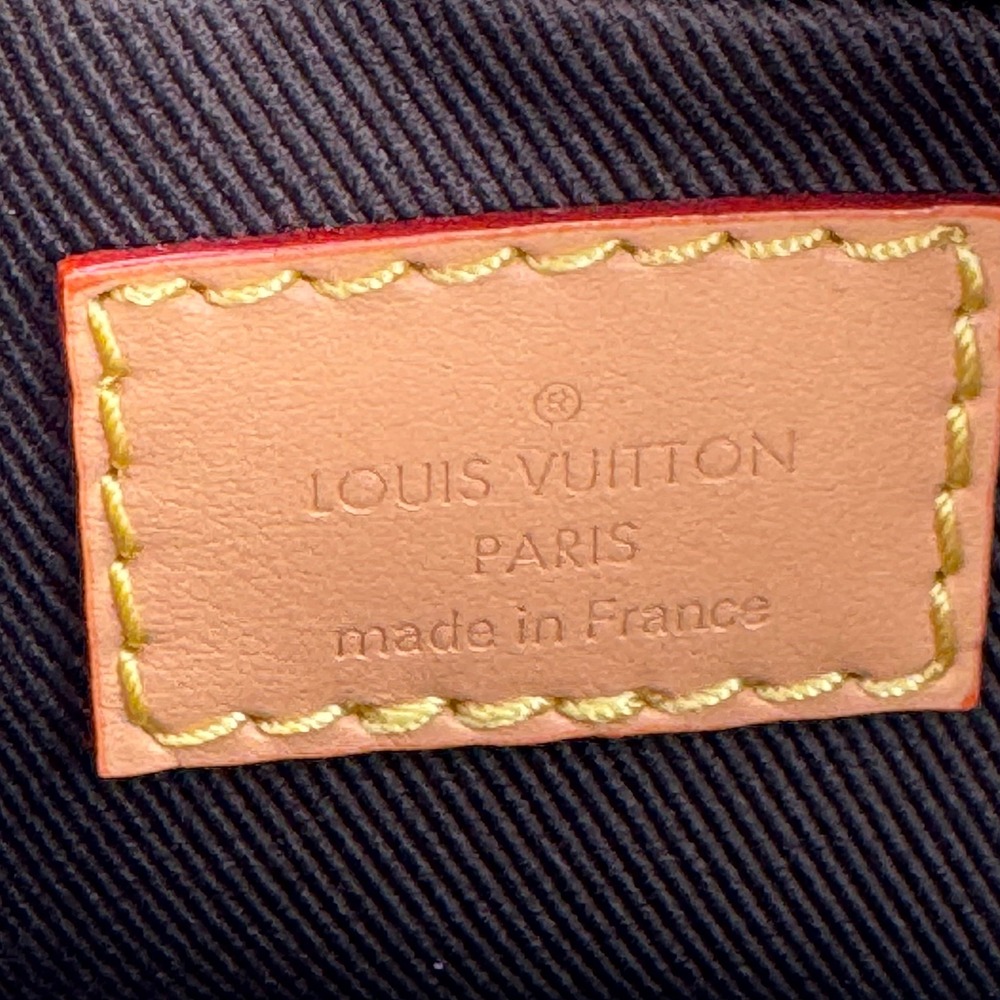 Louis Vuitton x Tyler, The Creator Monogram Craggy Dog Bag Brown Authentic CoA - Picture 5 of 12